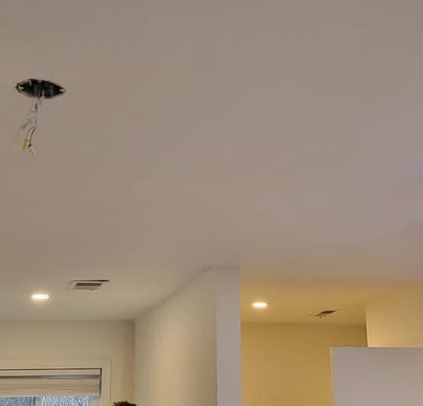 Drywall Ceiling and Finishing