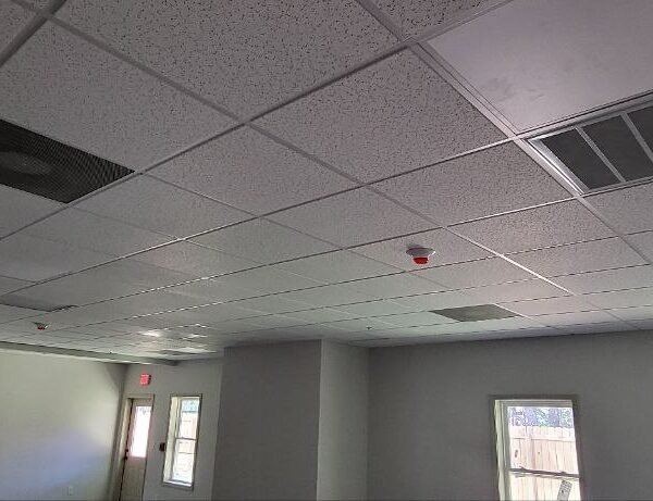 Acoustic Ceiling, Caterville